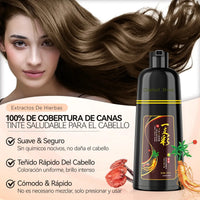 Shampoo Tinte Instantáneo Cubre Canas 500ml
