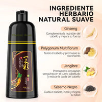 Shampoo Tinte Instantáneo Cubre Canas 500ml