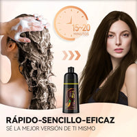 Shampoo Tinte Instantáneo Cubre Canas 500ml